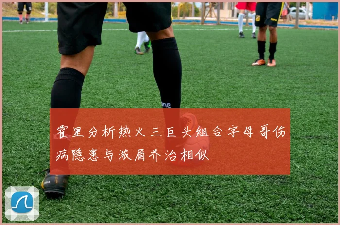 霍里分析热火三巨头组合字母哥伤病隐患与浓眉乔治相似